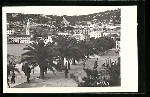 AK Hvar, Küstenpartie mit Palmen