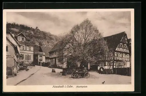 AK Neustadt i. Odw., Marktplatz mit Brunnen