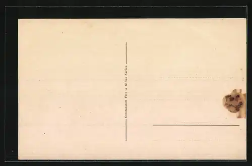 Künstler-AK Stein am Rhein, Totalansicht mit Rheindampfer