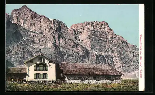 AK Engelberg, Arnialp mit Bergpanorama