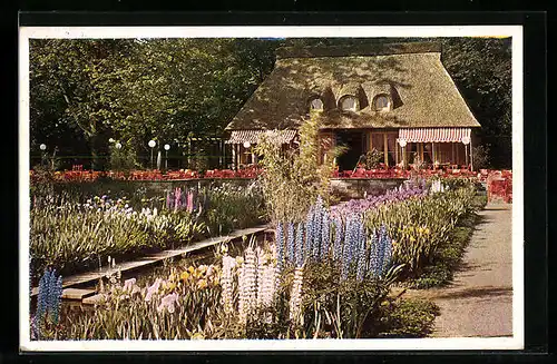AK Dresden, Jahresschau 1937 Garten und Heim, Irisgarten mit Cafe Eden
