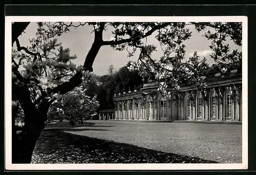 AK Potsdam, Schloss Sanssouci, Gartenansicht