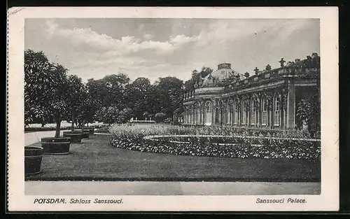 AK Potsdam, Schloss Sanssouci, Sanssouci Palace