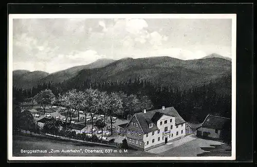 AK Goslar / Oberharz, Berggasthaus zum Auerhahn