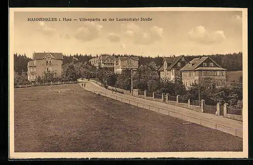 AK Hahnenklee i. Harz, Villenpartie an der Lautenthaler Strasse