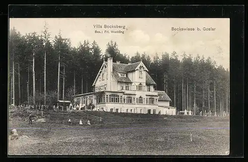 AK Bockswiese b. Goslar, Villa Bocksberg