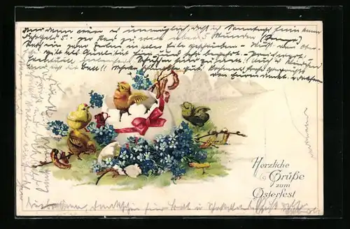 AK Osterküken mit Vergissmeinnicht