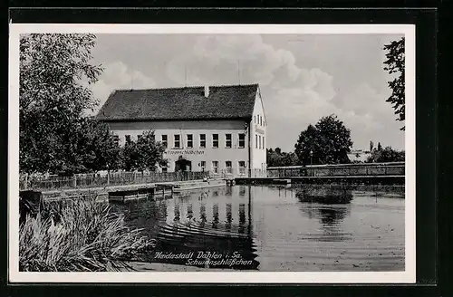 AK Dahlen i. Sa., Gasthaus Schwanschlösschen