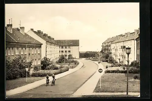 AK Hohenmölsen /Bez. Halle, Erich-Weinert-Strasse mit Radfahrern