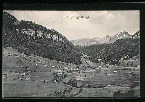 AK Stein i. Toggenburg, Ortsansicht aus der Vogelschau