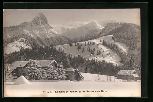 AK Rochers de Naye, Bergpanorama, La Dent de Jaman