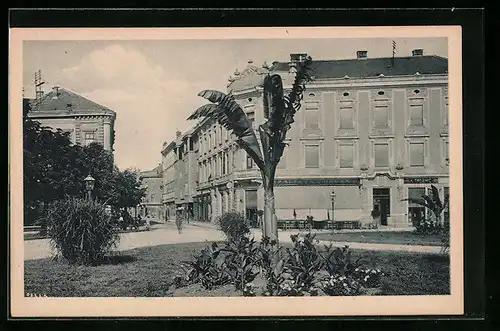 AK Zagreb, Marovska ulica