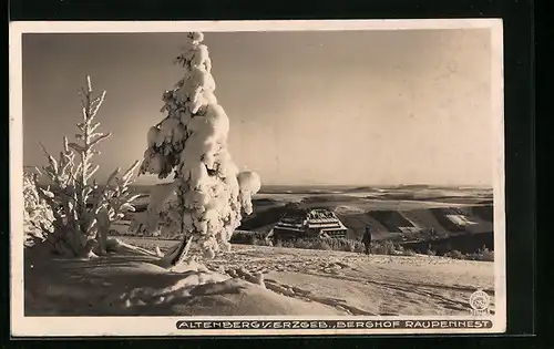 Foto-AK Walter Hahn, Dresden, Nr. 6761: Altenberg i. Erzgeb., Berghof Raupennest