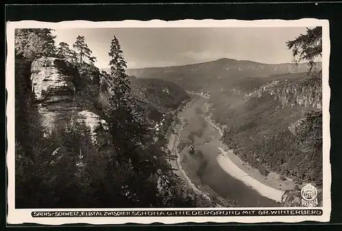 Foto-AK Walter Hahn, Dresden, Nr. 1278: Schöna /Sächs.-Schweiz, Elbtal zwischen Schöna u. Niedergrung, Gr. Winterberg