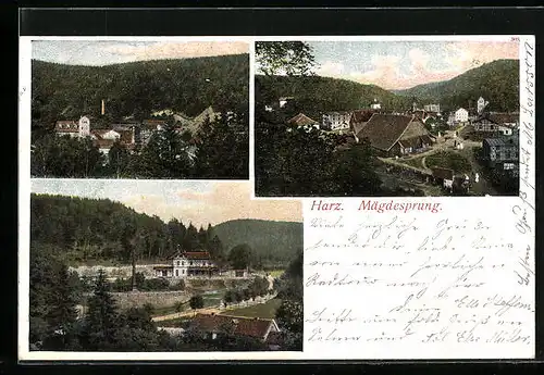 AK Mägdesprung /Harz, Teilansichten, Obelisk