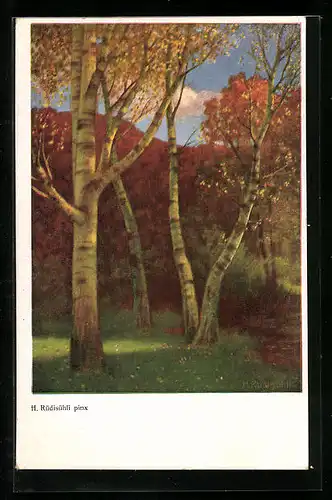 Künstler-AK Hermann Rüdisühli: Herbstliche Partie im Park mit Birken