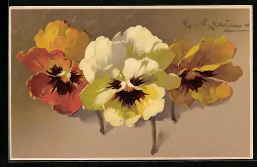 Künstler-AK Catharina Klein: Drei Blüten in weiss, gelb und orange