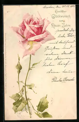 Künstler-AK Catharina Klein: Eine rosane Rose