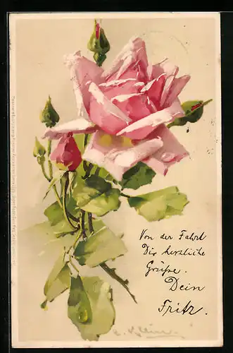 Künstler-AK Catharina Klein: Rosane Rose mit Knospen