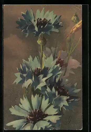 Künstler-AK Catharina Klein: Blaue Blumen