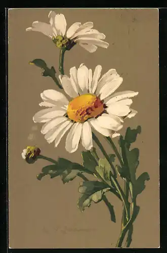 Künstler-AK Catharina Klein: Hübsch blühende Margarithen