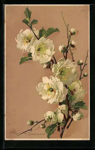 Künstler-AK Catharina Klein: Obstblüten an Zweigen