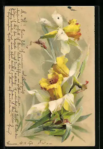 Präge-Künstler-AK Catharina Klein: Blühende Osterglocken