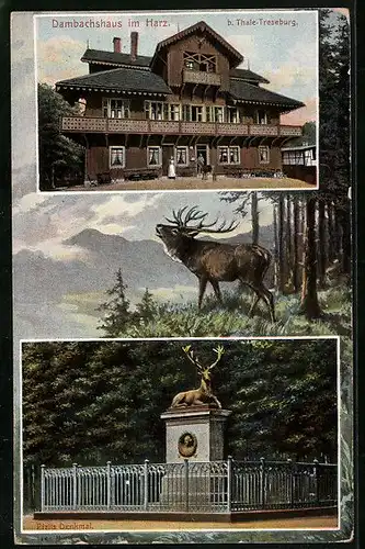 AK Thale / Harz, Dambachshaus, Hirschdenkmal, röhrender Hirschbulle