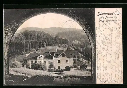 AK Steinhaus, Villa Marienhof und Villa Edelweiss durch Tor