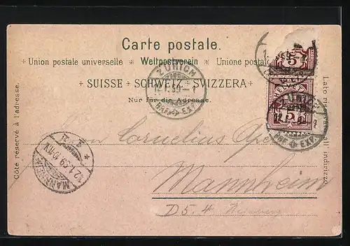 Lithographie Zürich, Totalansicht aus der Vogelschau