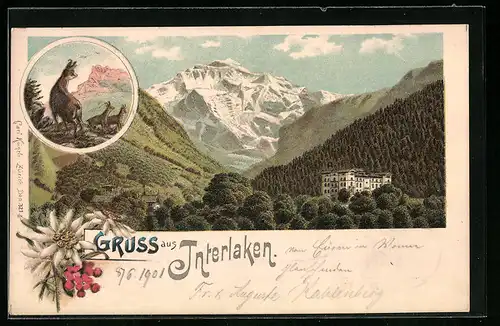 Lithographie Interlaken, Blick auf Berge