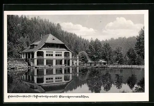 AK Freudenstadt i. Schwarzwald, Langenwaldsee mit Haus am Ufer