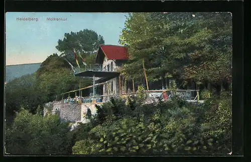 AK Heidelberg, Molkenkur, Gebäudeansicht