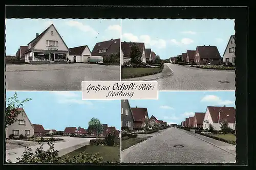 AK Ocholt /Oldb., Strassenpartien Siedlung, mit Edeka-Geschäft