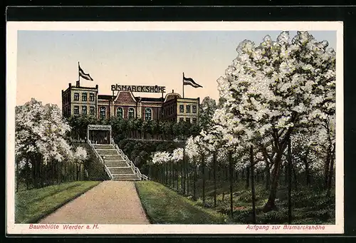 AK Werder a. H., Aufgang zum Restaurant Bismarckshöhe in der Baumblüte