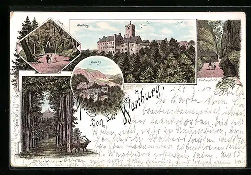 Lithographie Wartburg, Aussenansicht, Im Annathal, Blick v. d. Hohen Sonne, Die Drachenschlucht