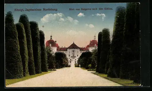 AK Moritzburg, Königl. Jagdschloss, Blick vom Hintergarten