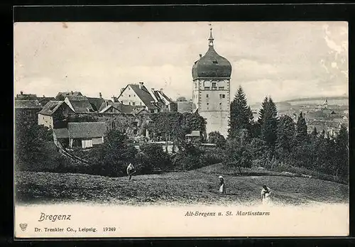 AK Bregenz, Ortsansicht mit Martinsturm