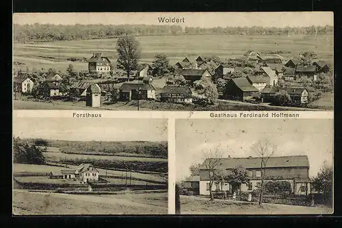 AK Woldert, Gasthaus Ferdinand Hoffmann, Forsthaus, Teilansicht