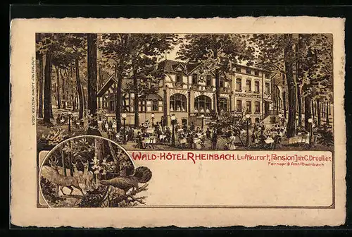 Künstler-AK Rheinbach, Wald-Hotel und Pension C. Droullier mit Garten, Rehe im Wald