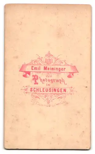 Fotografie Emil Meininger, Schleusingen, süsses Kind im Seidenkleidchen sitzend