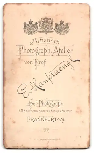 Fotografie Er. Hanfstaengl, Frankfurt a. M., betuchte Dame im Kleid mit Halsschmuck