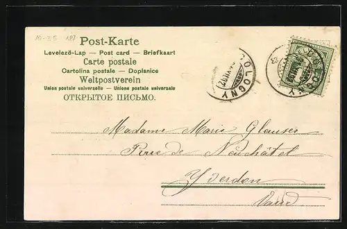 AK Jahreszahl 1903, Bonne Année mit Vergissmeinnicht