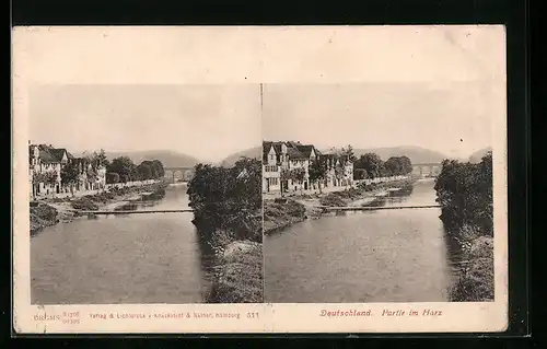 Stereo-AK Partie im Harz