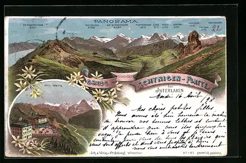 Lithographie Interlaken, Panorama der Schynigen-Platte, Hotel auf der Schynigen-Platte