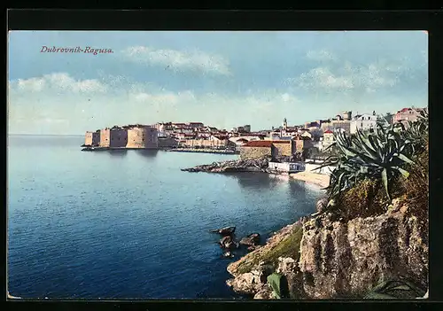 AK Dubrovnik, Panorama