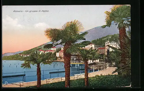 AK Abbazia, Un gruppo di Palme