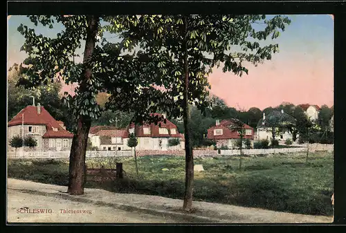 AK Schleswig, Strasse Thiesensweg mit Bäumen