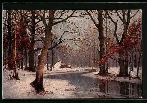 Künstler-AK Degi Nr. 1134: Bach an einem sonnigen Wintertag