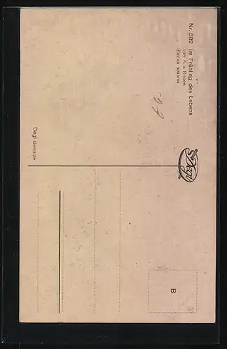 Künstler-AK Degi Nr. 582: Im Frühling des Lebens von A. v. Riesen, Ölgemälde-Imitations-AK